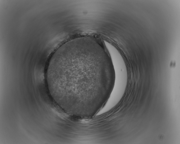 X0000092000508200709201512