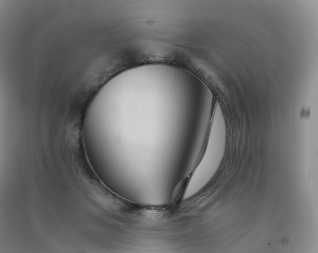 X0000092000509200709201512