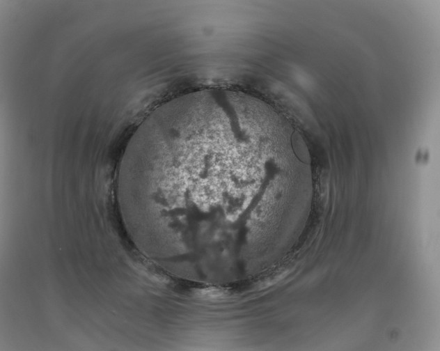 X0000092000511200709201512