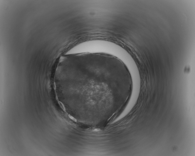 X0000092000512200709201512