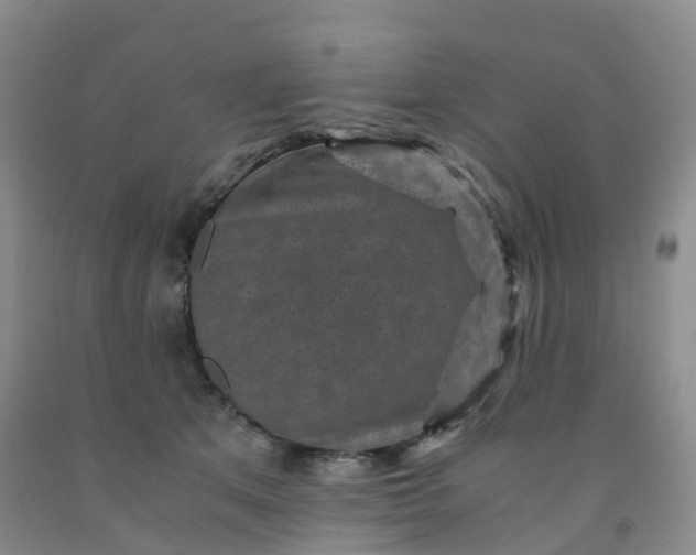 X0000092000513200709201512