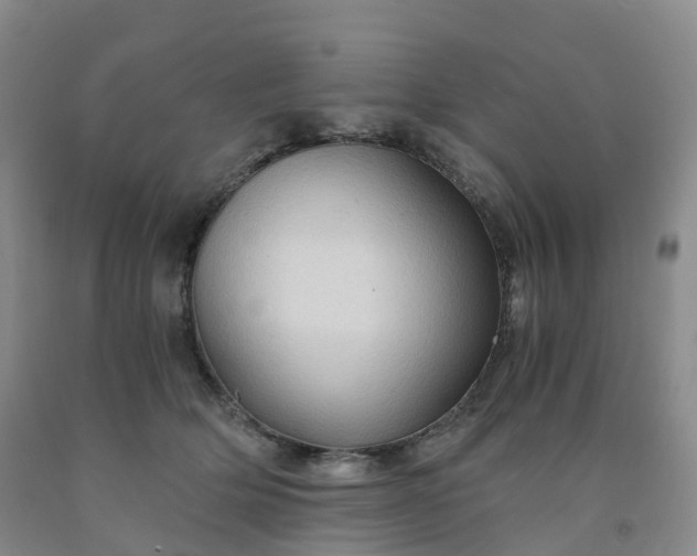 X0000092000514200709201512