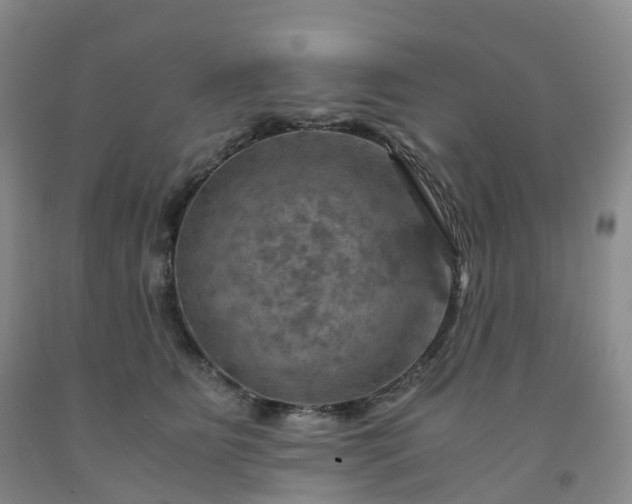 X0000092000515200709201512