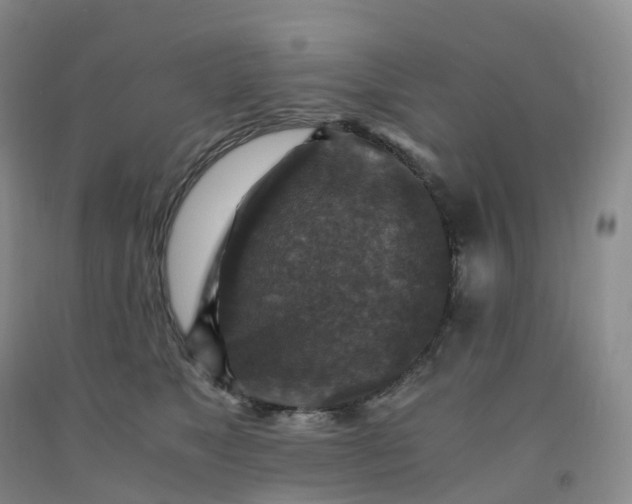 X0000092000517200709201512