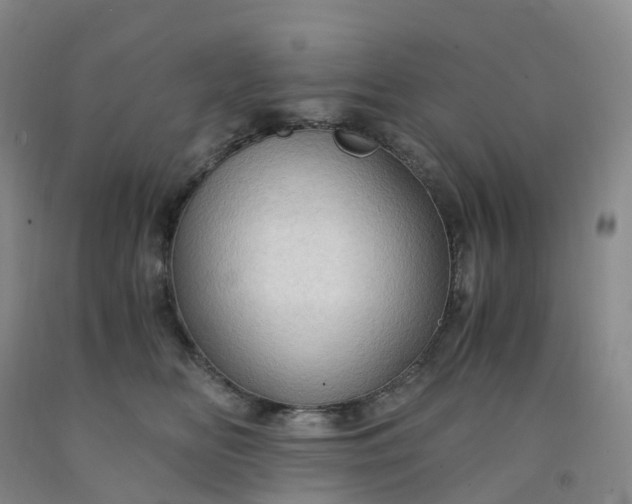 X0000092000518200709201512