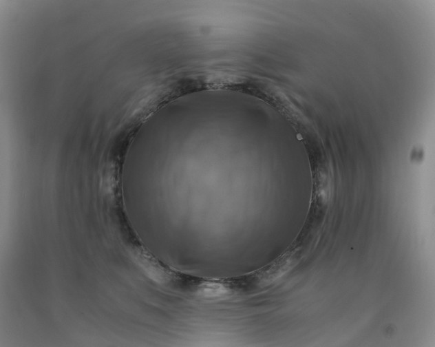 X0000092000519200709201512