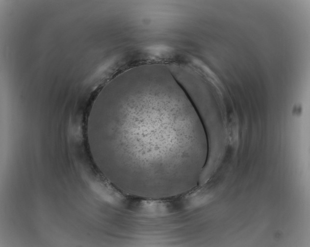 X0000092000520200709201512