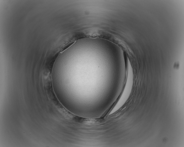 X0000092000521200709201512