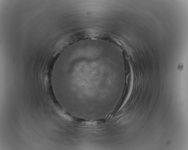 X0000092000524200709201512