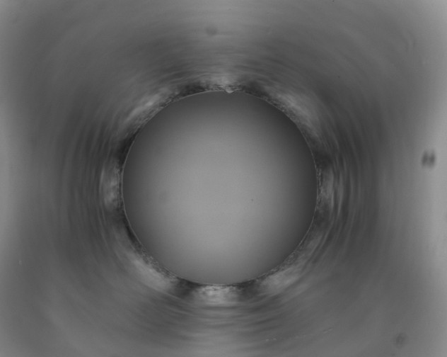 X0000092000526200709201511