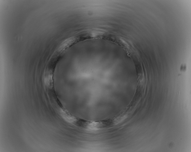 X0000092000527200709201511