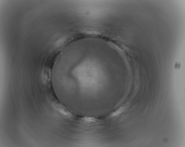 X0000092000528200709201511