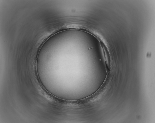 X0000092000529200709201511