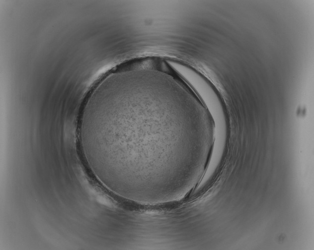 X0000092000530200709201511