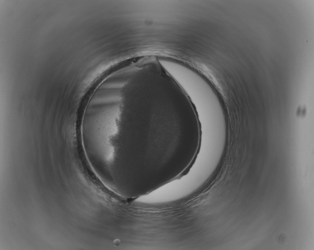 X0000092000531200709201511