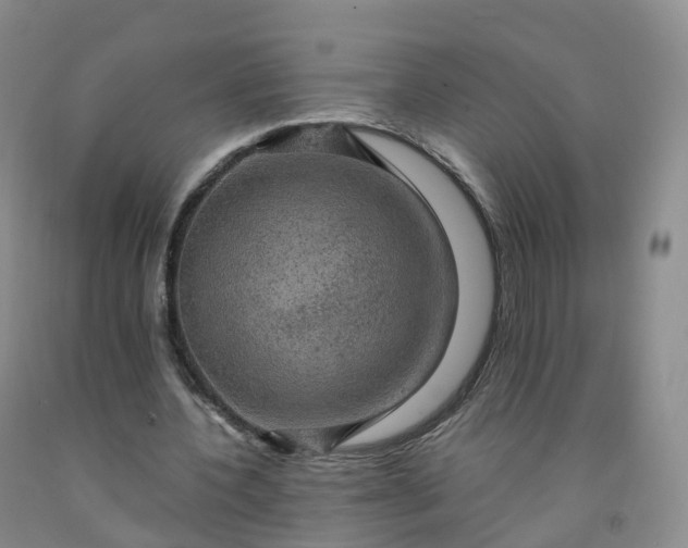 X0000092000532200709201511