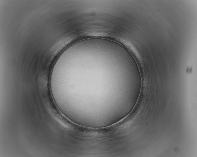 X0000092000533200709201511