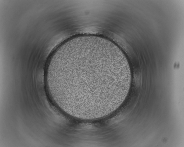 X0000092000534200709201511