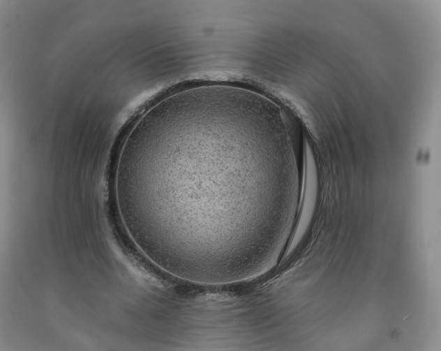 X0000092000536200709201511