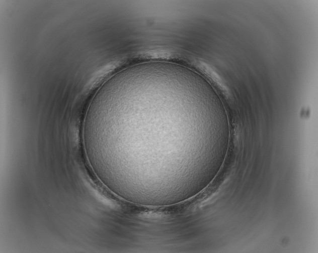 X0000092000537200709201511