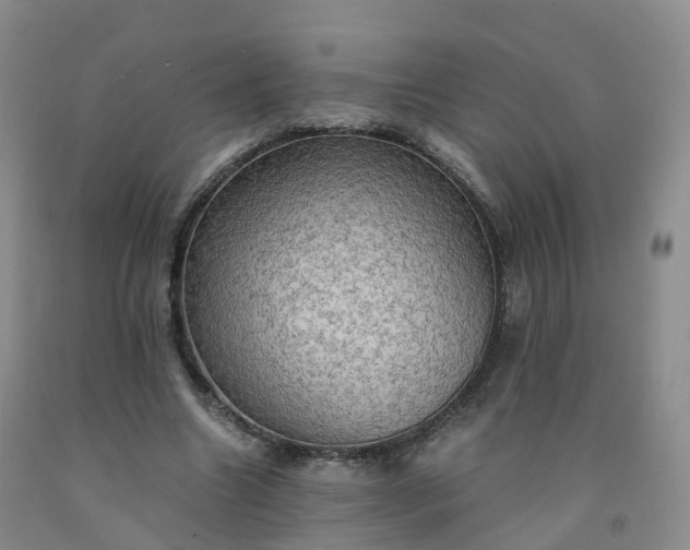 X0000092000538200709201511