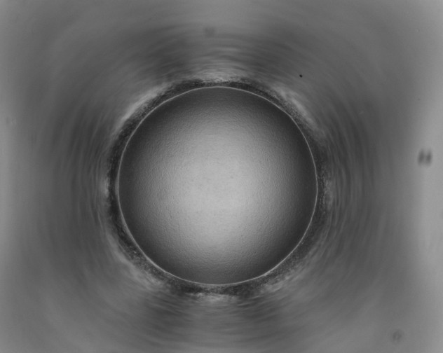 X0000092000539200709201511