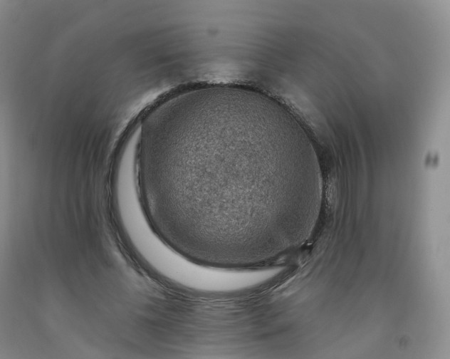 X0000092000540200709201511