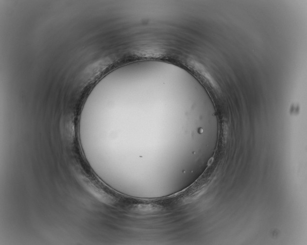 X0000092000541200709201511