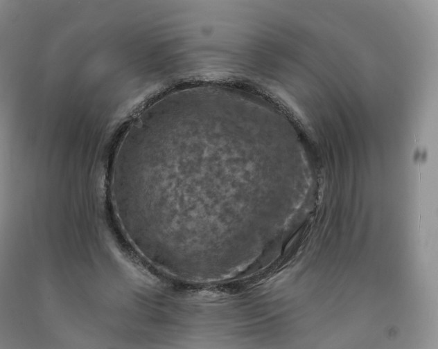 X0000092000542200709201511