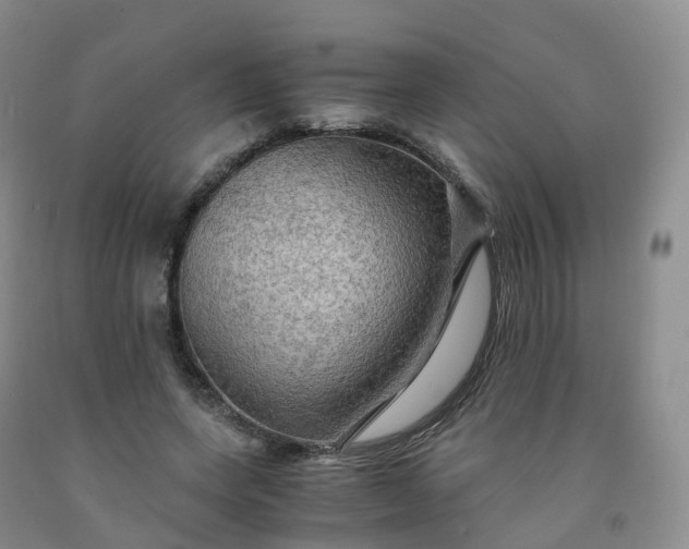 X0000092000543200709201511