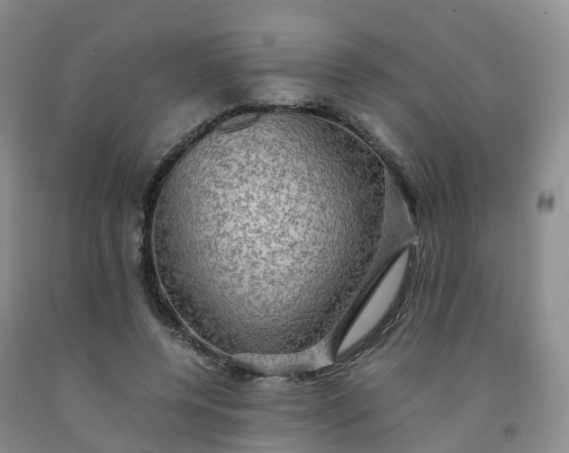 X0000092000544200709201511