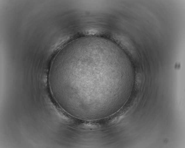 X0000092000545200709201511