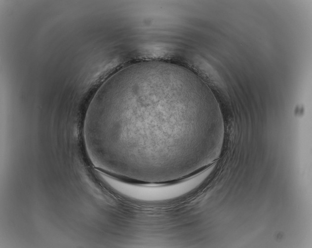 X0000092000546200709201511