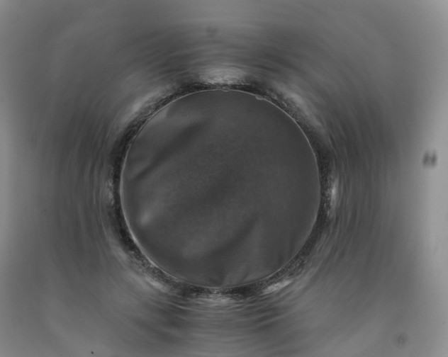 X0000092000547200709201511