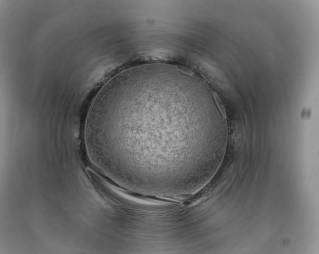 X0000092000548200709201511