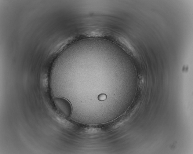 X0000092000549200709201511