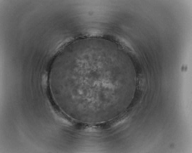 X0000092000550200709201511