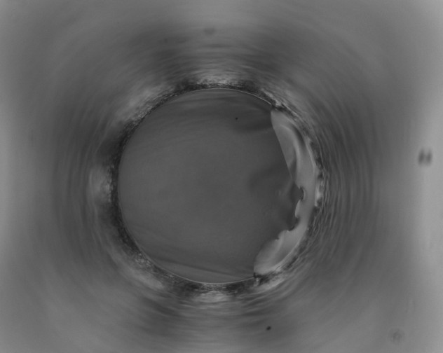 X0000092000551200709201511