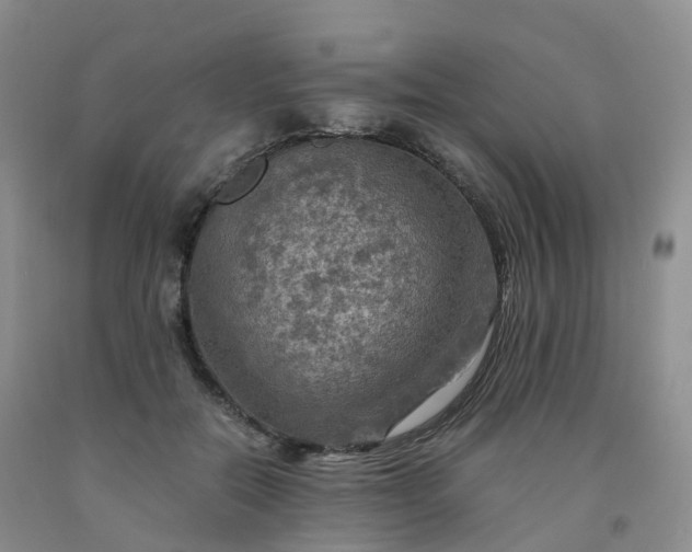 X0000092000554200709201511