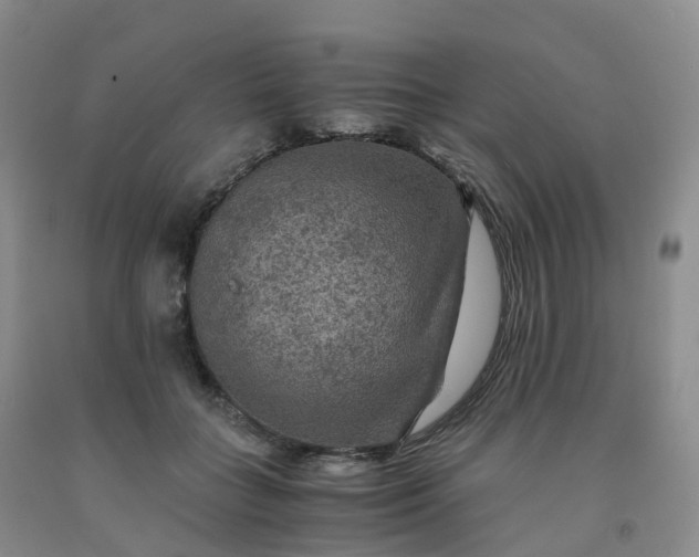 X0000092000555200709201511