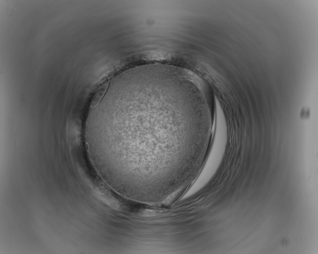 X0000092000556200709201511