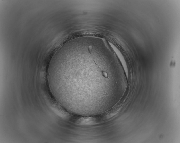 X0000092000557200709201511