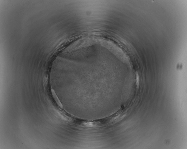 X0000092000558200709201511