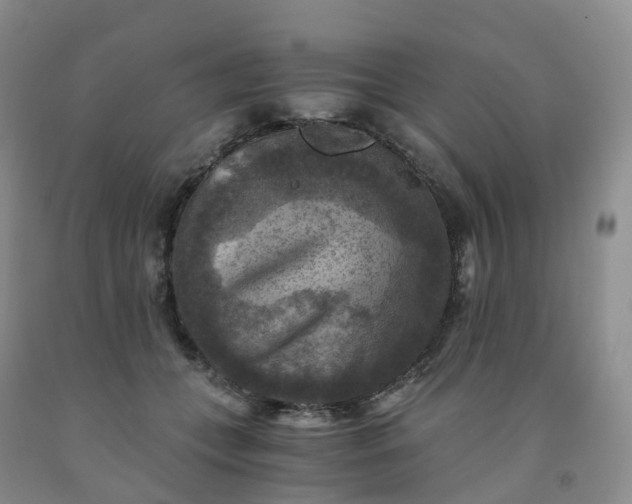 X0000092000559200709201511