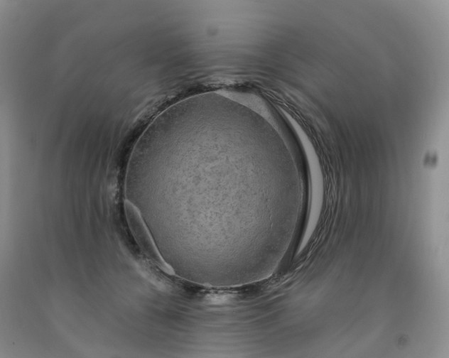 X0000092000560200709201511