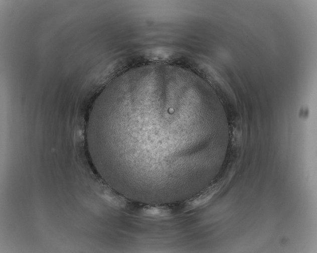 X0000092000561200709201511