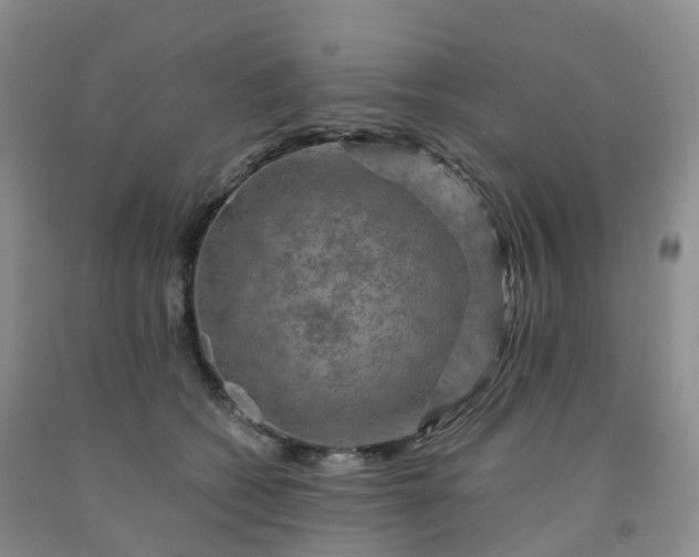 X0000092000562200709201511