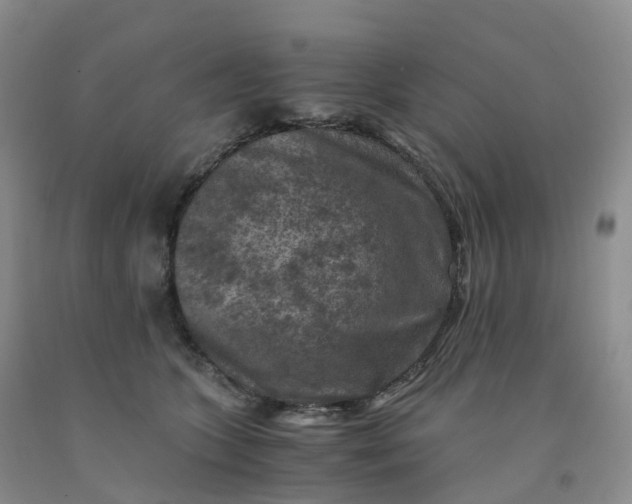 X0000092000563200709201511