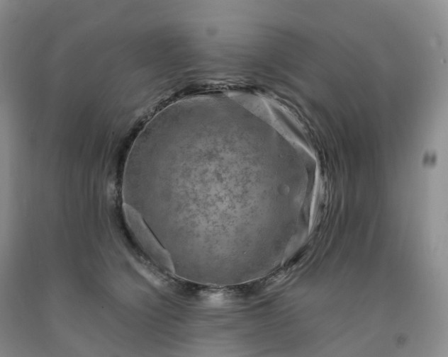 X0000092000564200709201511