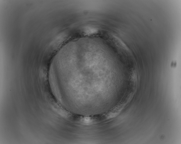 X0000092000565200709201511